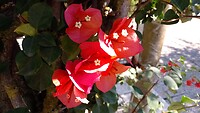 IMG_20220921_123352_710