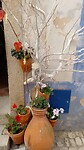 IMG_20220924_115214_852