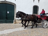 IMG_20220924_124852_596