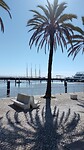IMG_20220925_112730_450