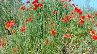IMG_20230615_100848_147