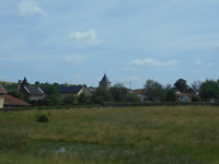 image (10)