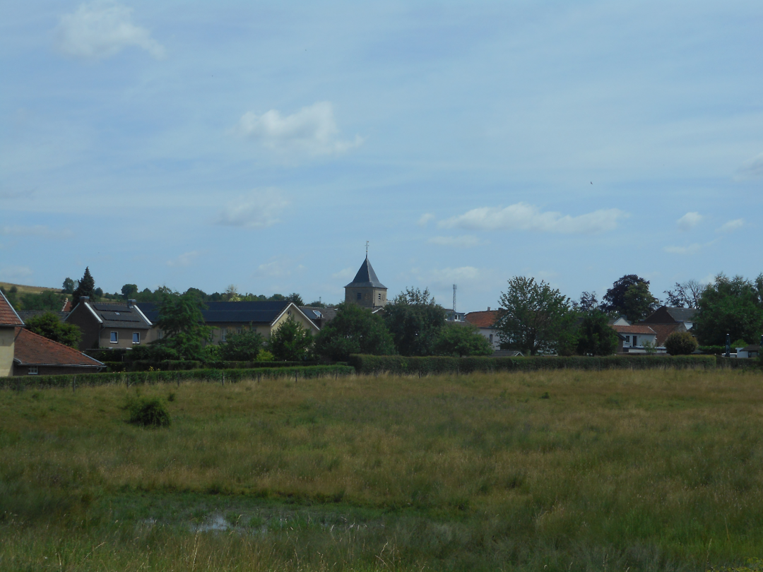 image (10)