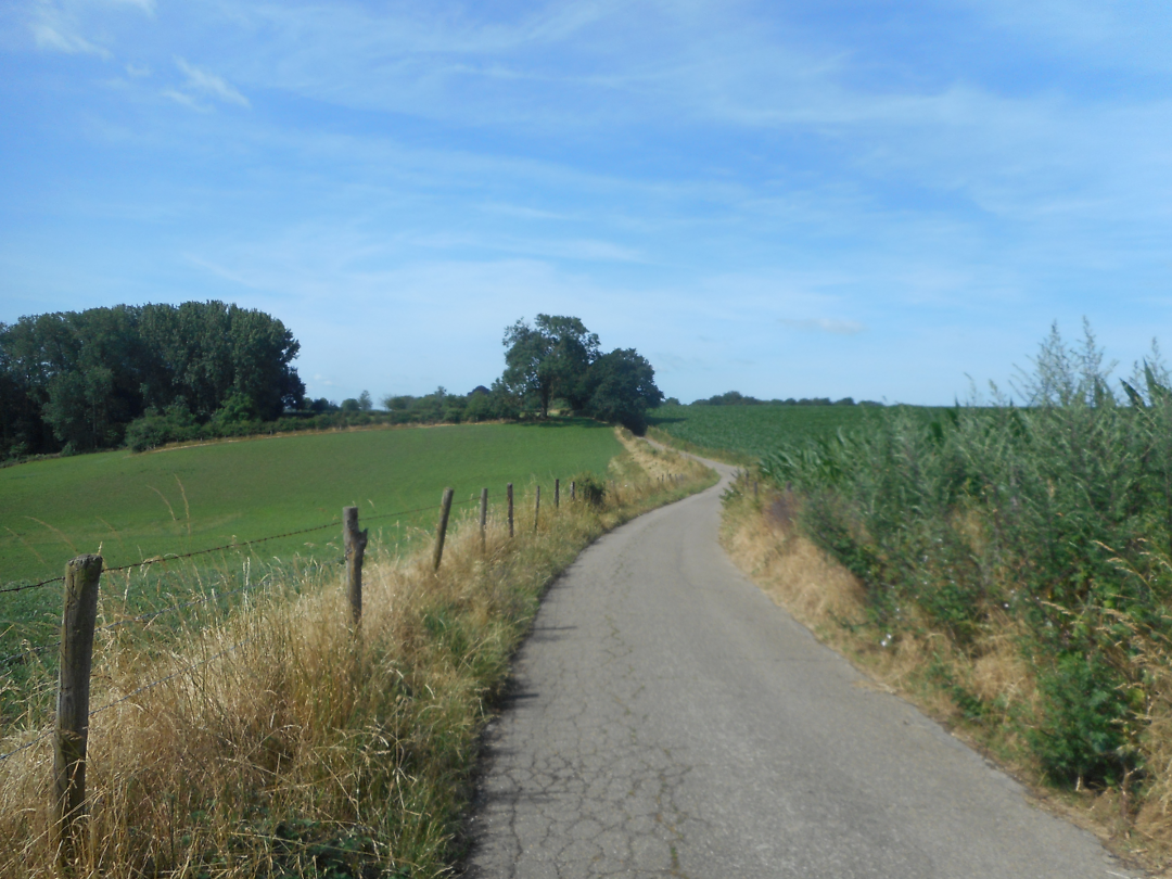 image (3)