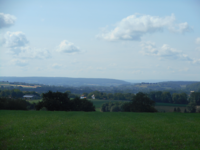 image (2)