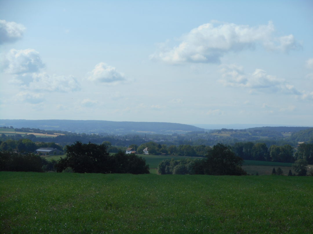 image (2)