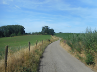image (3)