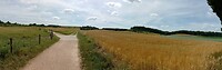 IMG_20230630_123339_818
