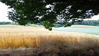 IMG_20230630_121955_394
