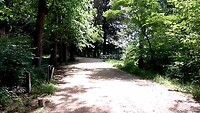 Samenvatting wandeltocht 7 KM