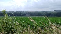 IMG_20230702_111029_628