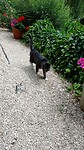 IMG_20230702_142658_804