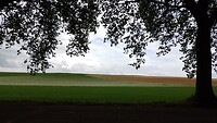 IMG_20230703_123640_937