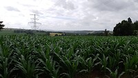 IMG_20230703_095907_302
