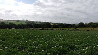 IMG_20230703_094019_743