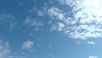 IMG_20230703_093018_761