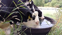 IMG_20230704_142620_005