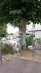 IMG_20230704_134040_802