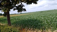 IMG_20230704_133554_891