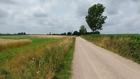 IMG_20230704_125933_514