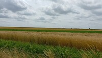 IMG_20230704_125930_591
