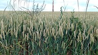 IMG_20230704_124828_958