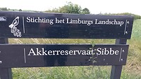 IMG_20230704_124239_686