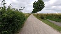 IMG_20230704_124226_940