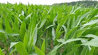 IMG_20230704_123319_755