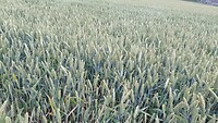 IMG_20230704_123316_463