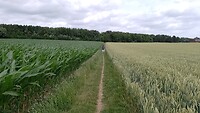 IMG_20230704_123311_868