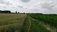 IMG_20230704_122859_873