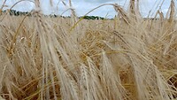 IMG_20230704_105405_756
