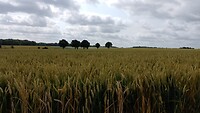IMG_20230704_105310_080
