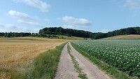 IMG_20230704_094233_118