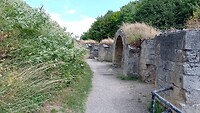 IMG_20230705_144909_972