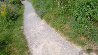 IMG_20230705_144454_652