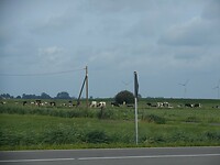 DSCN2550