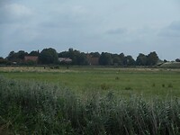 DSCN2554