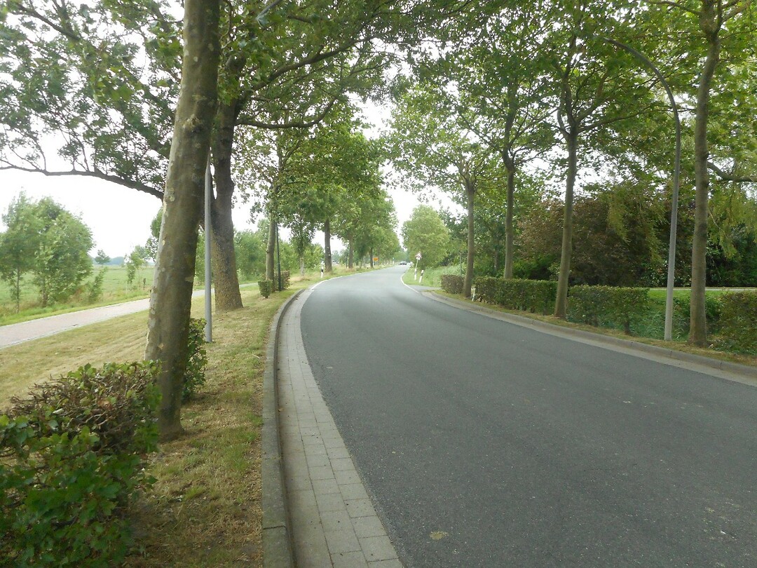 DSCN2590