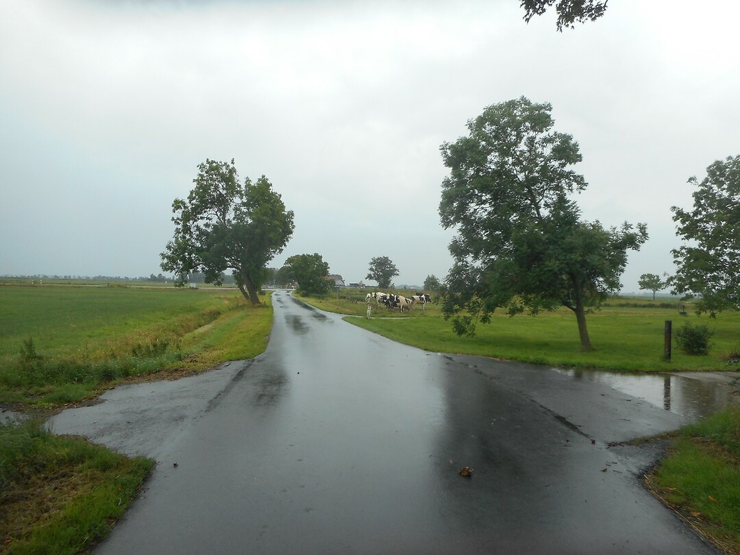 DSCN2606