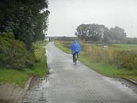 DSCN2611