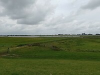 IMG_20230722_111022_604
