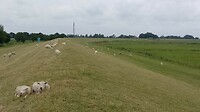 IMG_20230722_111034_456