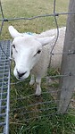 IMG_20230722_112142_705