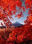 FB_IMG_1692628562851