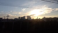 IMG_20231107_160001_986