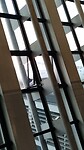 IMG_20231107_073829_156