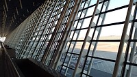 IMG_20231107_073802_274