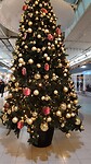 IMG_20231105_175650_653